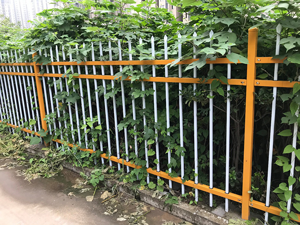 公園鋅鋼護(hù)欄圖片5